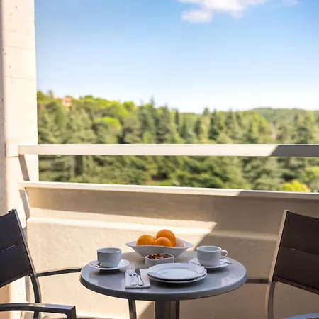 فلامار ديامانت 4* بوريتش